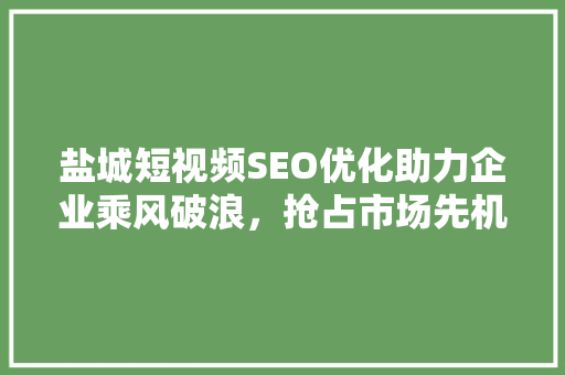 盐城短视频SEO优化助力企业乘风破浪，抢占市场先机