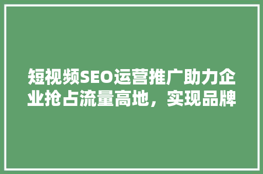 短视频SEO运营推广助力企业抢占流量高地，实现品牌价值飞跃
