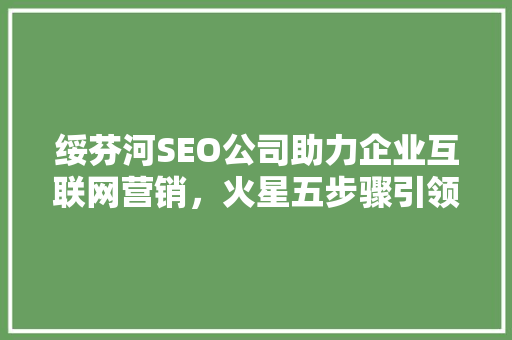 绥芬河SEO公司助力企业互联网营销，火星五步骤引领市场新风向