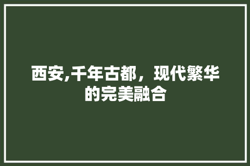 西安,千年古都，现代繁华的完美融合
