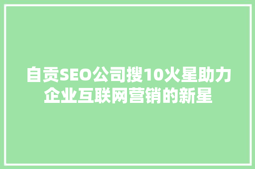 自贡SEO公司搜10火星助力企业互联网营销的新星