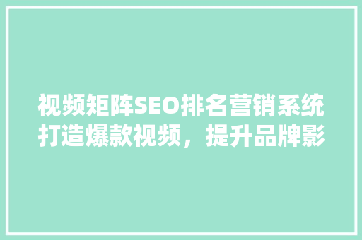 视频矩阵SEO排名营销系统打造爆款视频，提升品牌影响力
