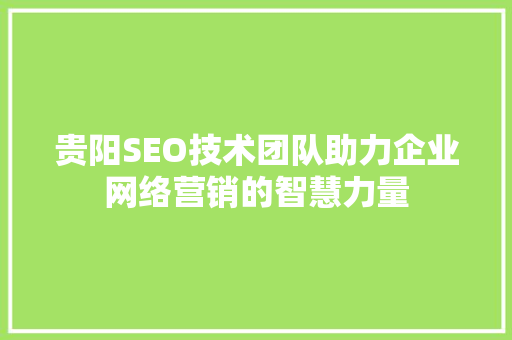 贵阳SEO技术团队助力企业网络营销的智慧力量 服务器/数据库