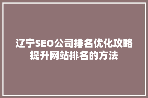 辽宁SEO公司排名优化攻略提升网站排名的方法