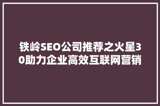 铁岭SEO公司推荐之火星30助力企业高效互联网营销