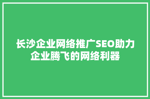 长沙企业网络推广SEO助力企业腾飞的网络利器