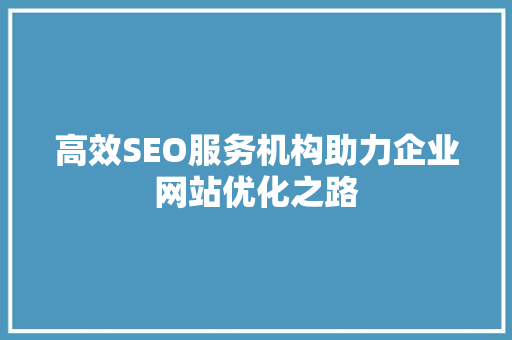 高效SEO服务机构助力企业网站优化之路