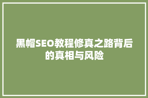 黑帽SEO教程修真之路背后的真相与风险
