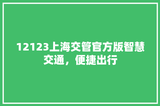 12123上海交管官方版智慧交通，便捷出行
