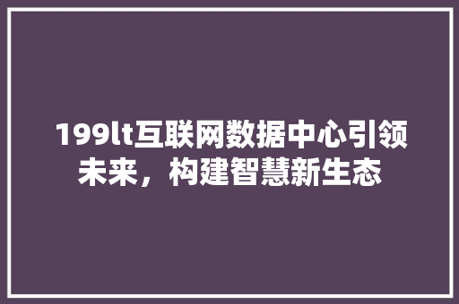 199lt互联网数据中心引领未来，构建智慧新生态