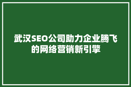 武汉SEO公司助力企业腾飞的网络营销新引擎