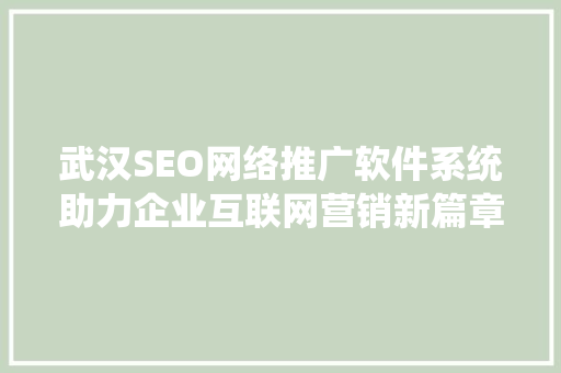 武汉SEO网络推广软件系统助力企业互联网营销新篇章