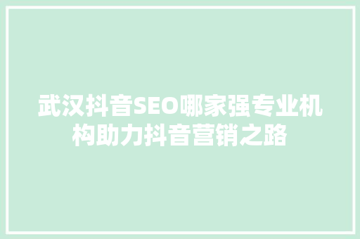 武汉抖音SEO哪家强专业机构助力抖音营销之路