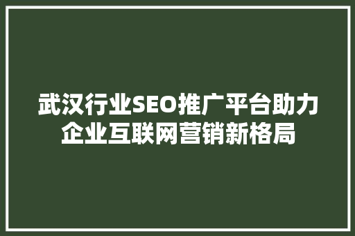 武汉行业SEO推广平台助力企业互联网营销新格局