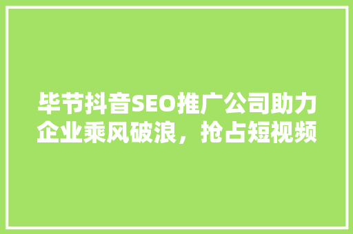 毕节抖音SEO推广公司助力企业乘风破浪，抢占短视频营销新风口