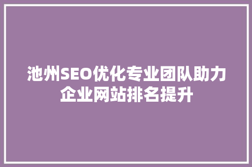 池州SEO优化专业团队助力企业网站排名提升