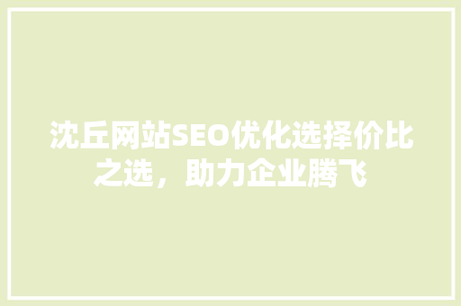 沈丘网站SEO优化选择价比之选，助力企业腾飞