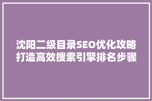 沈阳二级目录SEO优化攻略打造高效搜索引擎排名步骤