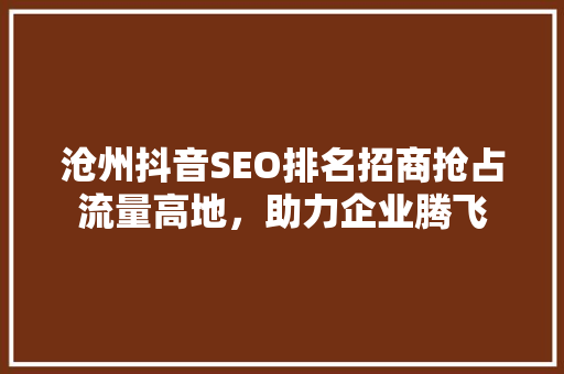 沧州抖音SEO排名招商抢占流量高地，助力企业腾飞