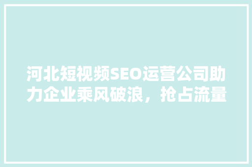 河北短视频SEO运营公司助力企业乘风破浪，抢占流量高地
