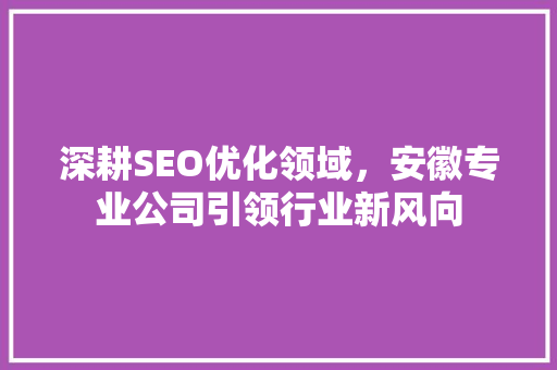 深耕SEO优化领域，安徽专业公司引领行业新风向