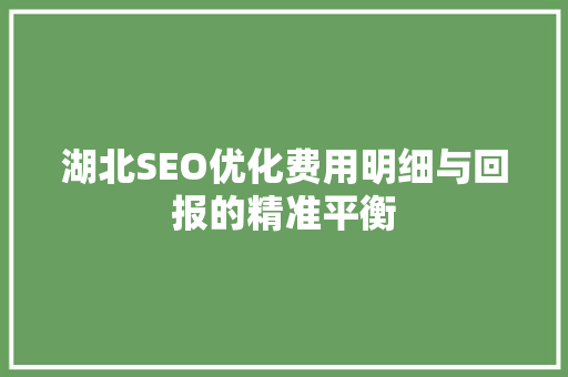 湖北SEO优化费用明细与回报的精准平衡
