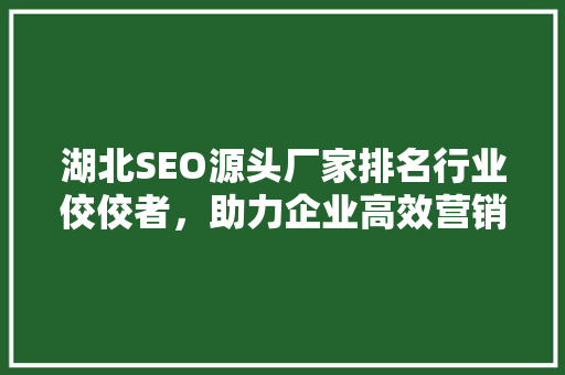 湖北SEO源头厂家排名行业佼佼者，助力企业高效营销