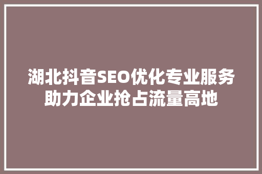 湖北抖音SEO优化专业服务助力企业抢占流量高地