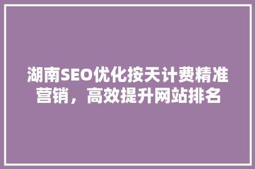 湖南SEO优化按天计费精准营销，高效提升网站排名