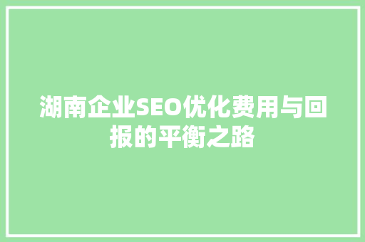 湖南企业SEO优化费用与回报的平衡之路
