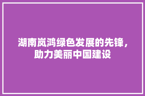 湖南岚鸿绿色发展的先锋，助力美丽中国建设