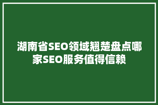 湖南省SEO领域翘楚盘点哪家SEO服务值得信赖