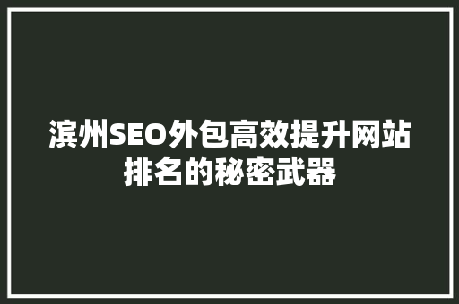 滨州SEO外包高效提升网站排名的秘密武器