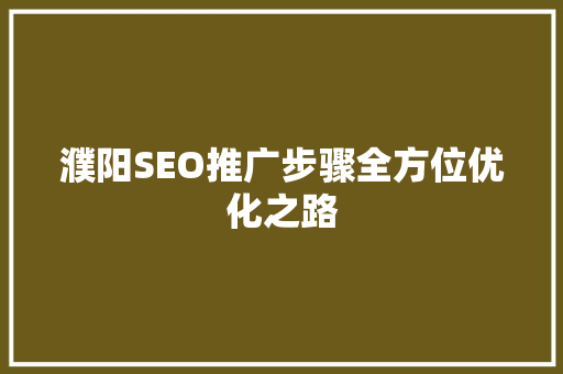 濮阳SEO推广步骤全方位优化之路