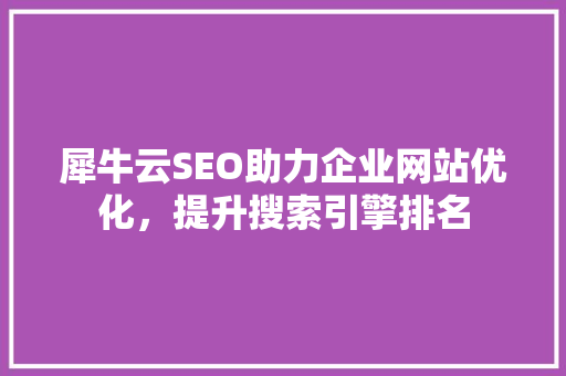 犀牛云SEO助力企业网站优化，提升搜索引擎排名