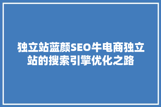 独立站蓝颜SEO牛电商独立站的搜索引擎优化之路