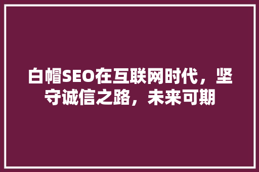 白帽SEO在互联网时代，坚守诚信之路，未来可期