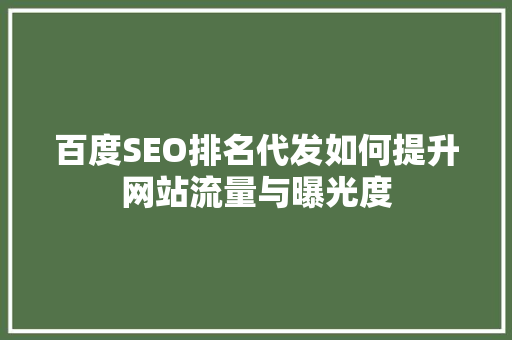 百度SEO排名代发如何提升网站流量与曝光度