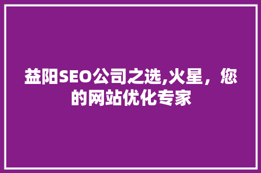 益阳SEO公司之选,火星，您的网站优化专家