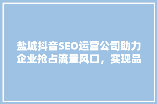 盐城抖音SEO运营公司助力企业抢占流量风口，实现品牌价值最大化