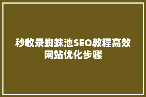 秒收录蜘蛛池SEO教程高效网站优化步骤