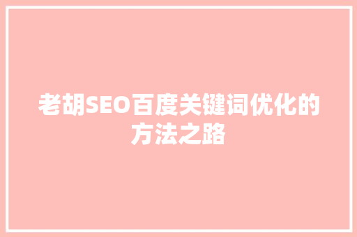 老胡SEO百度关键词优化的方法之路