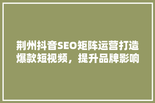 荆州抖音SEO矩阵运营打造爆款短视频，提升品牌影响力
