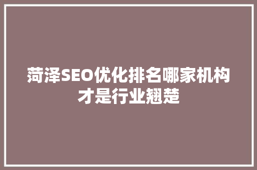 菏泽SEO优化排名哪家机构才是行业翘楚