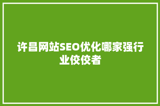 许昌网站SEO优化哪家强行业佼佼者