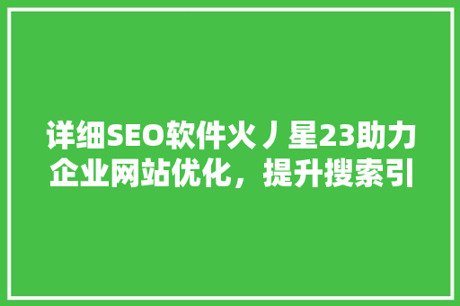 详细SEO软件火丿星23助力企业网站优化，提升搜索引擎排名