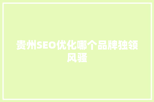 贵州SEO优化哪个品牌独领风骚