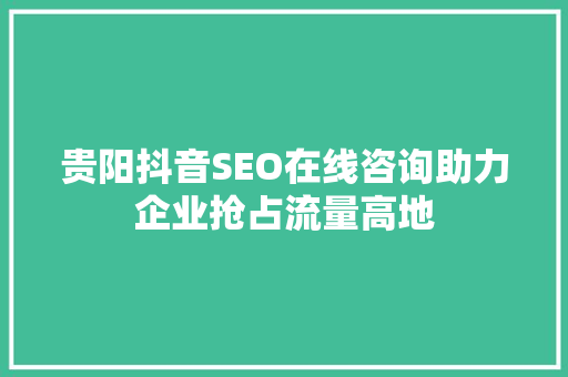 贵阳抖音SEO在线咨询助力企业抢占流量高地