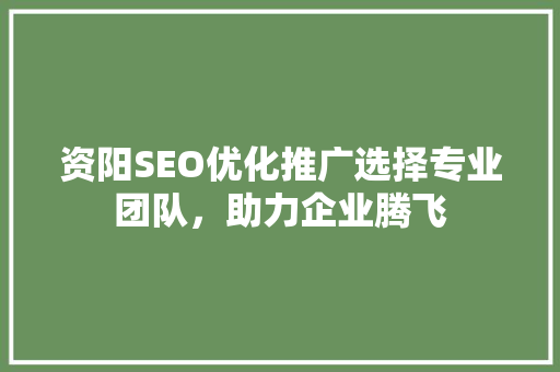 资阳SEO优化推广选择专业团队，助力企业腾飞