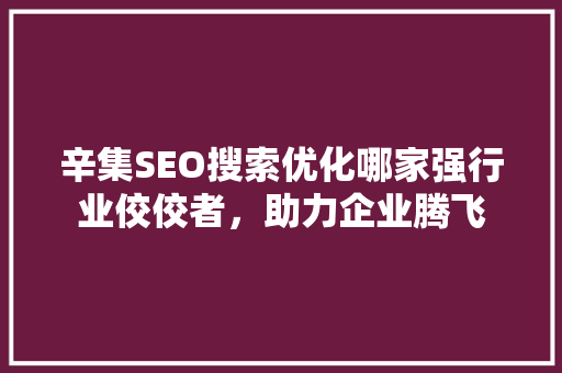 辛集SEO搜索优化哪家强行业佼佼者，助力企业腾飞 友链在线